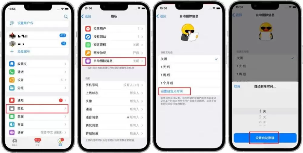 Telegram IOS 端自动删除消息操作图示