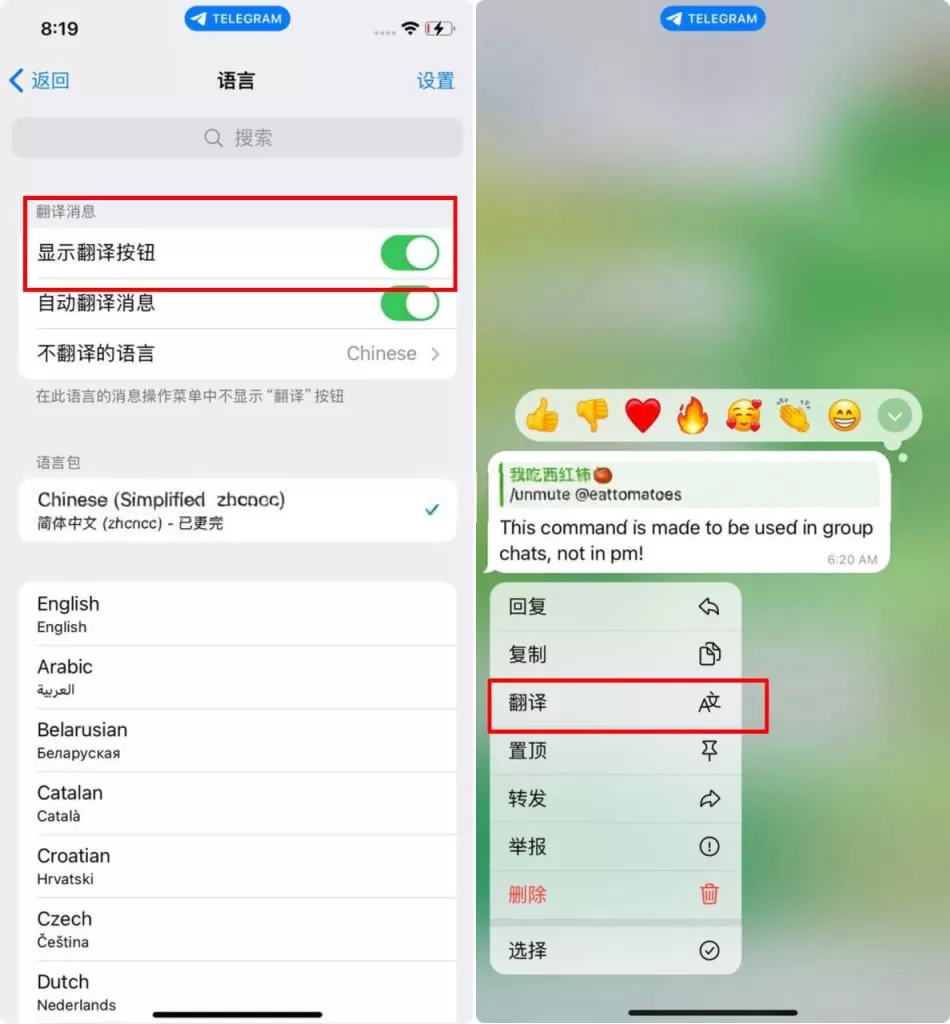 Telegram iOS 客户端自动翻译设置界面