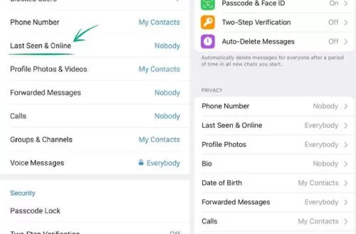电报 Telegram 防追踪隐私的全攻略设置教程